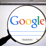 optimise Google my Business Profile